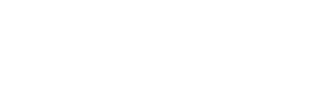 Filen Logo